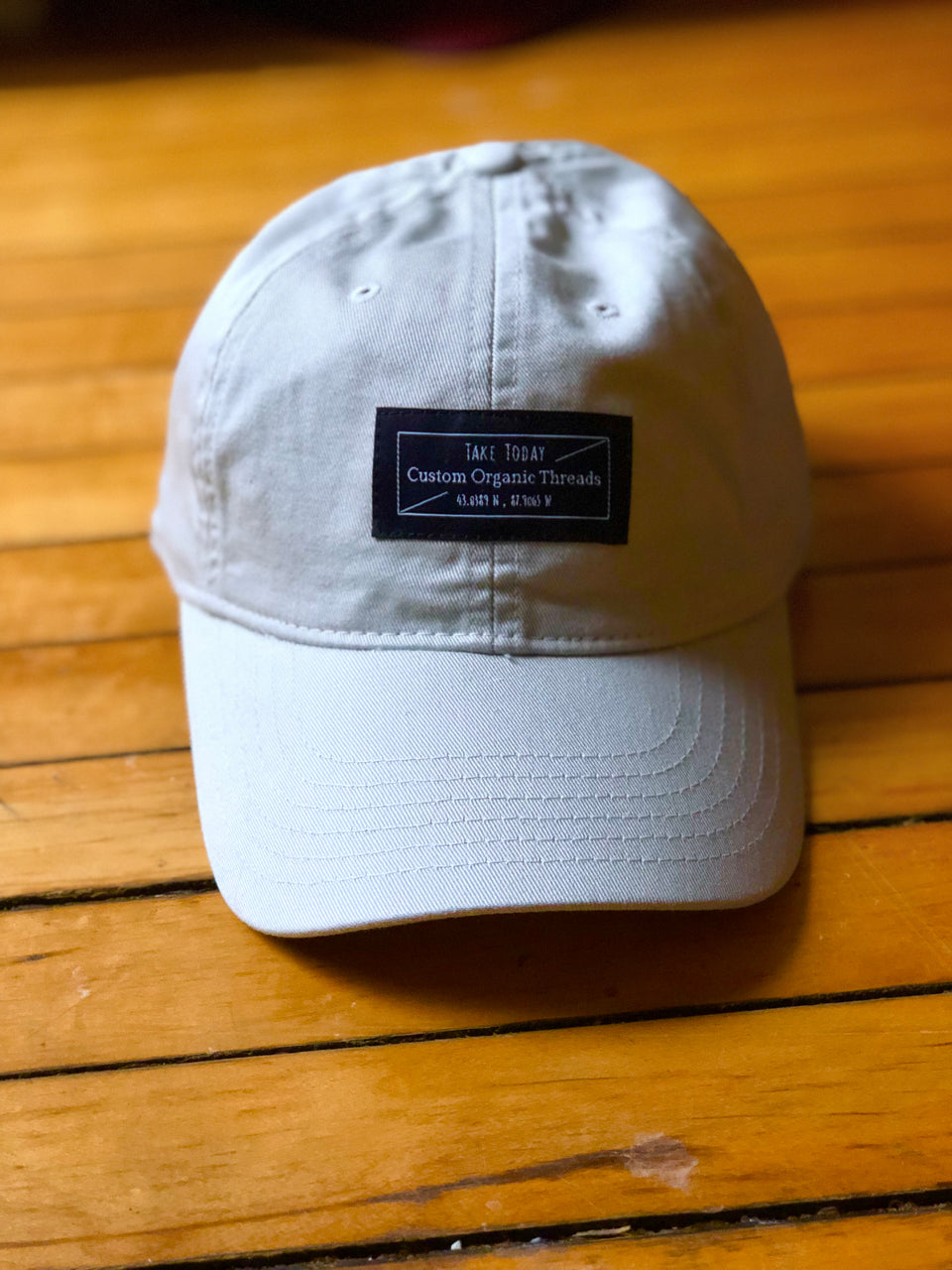 "downtown" dad hat in chameleon - Take Today Community