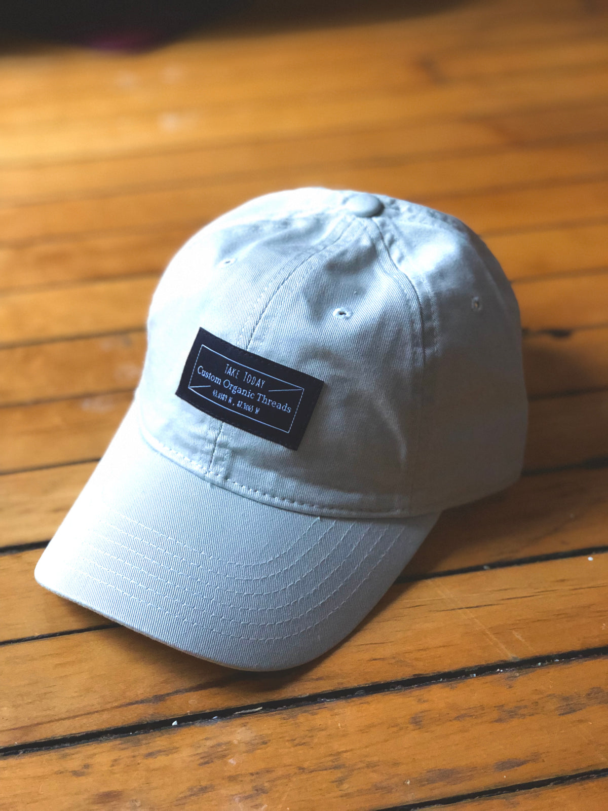 "downtown" dad hat in chameleon - Take Today Community